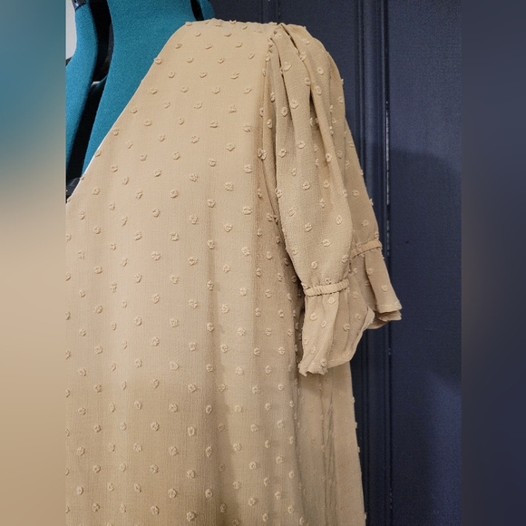 Tan Swiss Dot Blouse - Picture 4 of 8